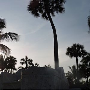 Meet your Posher, Finella